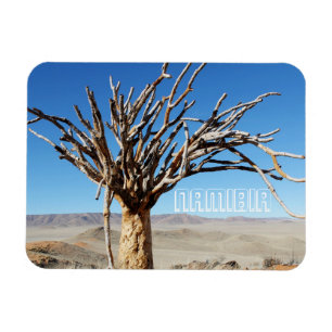 Namibia Tirool Namib Desert liggande Kokerboom Magnet