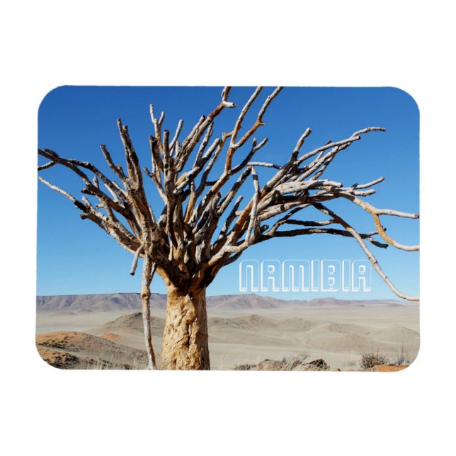 Namibia Tirool Namib Desert liggande Kokerboom Magnet (Horisontell)