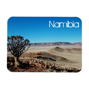 Namibia Tirool Namib Desert liggande Kokerboom Magnet