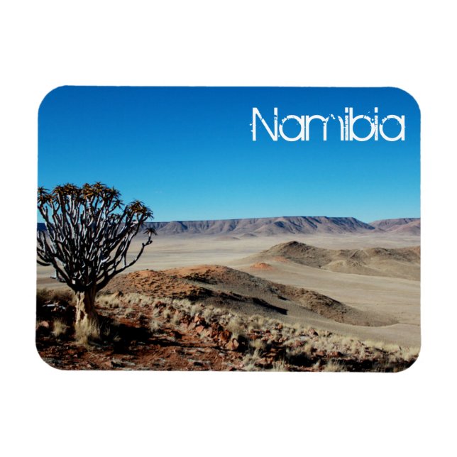 Namibia Tirool Namib Desert liggande Kokerboom Magnet (Horisontell)