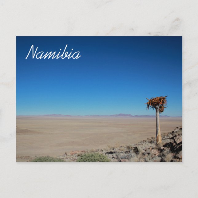 Namibia Tirool Namib Desert liggande natur Vykort (Framsida)