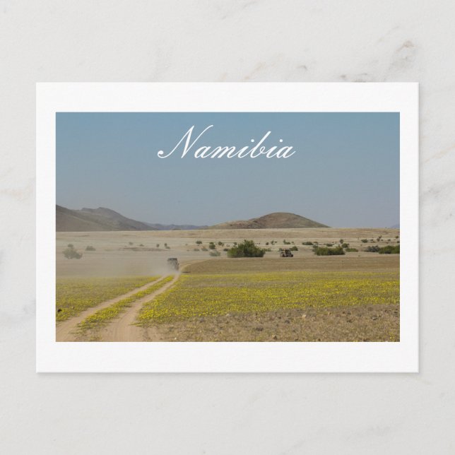 Namibia Wilderness Road liggande natur Vykort (Framsida)