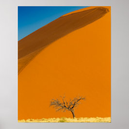 Namibias rödöknen poster