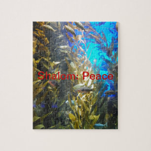 Namn av GUDEN w/Meaning Shalom: Fred Pussel