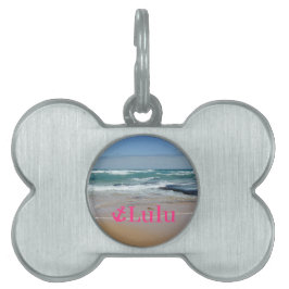 Namn Beach Nautical Rosa Anchor Pet Tag ID-bricka Husdjur