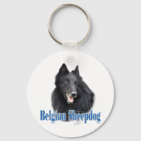 Namn belgisk fårhund