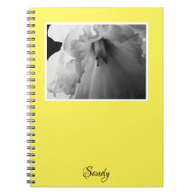 Namn Daffodil Black and White Photography