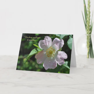 Namn-dagskort på tjeckiska kort