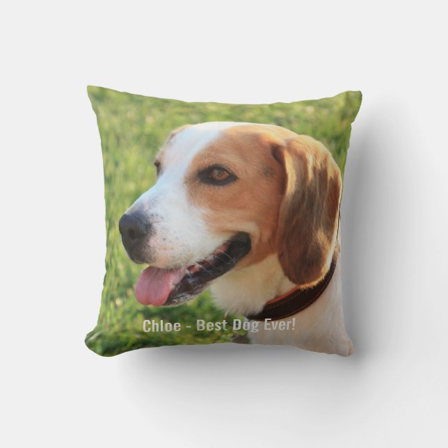 Namn för foto för personligBeaglehund och hund Kudde (Framsida)
