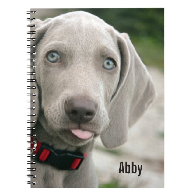 Namn för foto för personligWeimaraner hund och Anteckningsbok Med Spiral (Framsidan)
