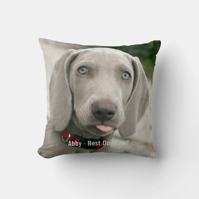 Namn för foto för personligWeimaraner hund och Kudde (Framsida)