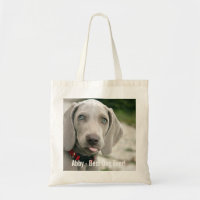 Namn för foto för personligWeimaraner hund och