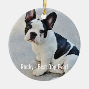 Namn för personligbulldoggfoto och bulldogg julgransprydnad keramik