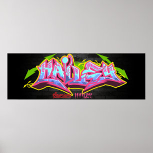 Namn Hailey i graffiti Poster