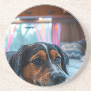 Namn: Sövande Hunddrömmar Underlägg