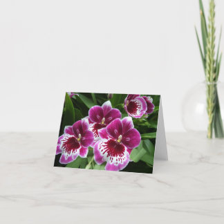 Nämnare för allmän blommigt - Raspberry Orchid Anteckningskort