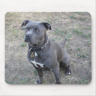 Namnge din Mousepadsarge Musmatta