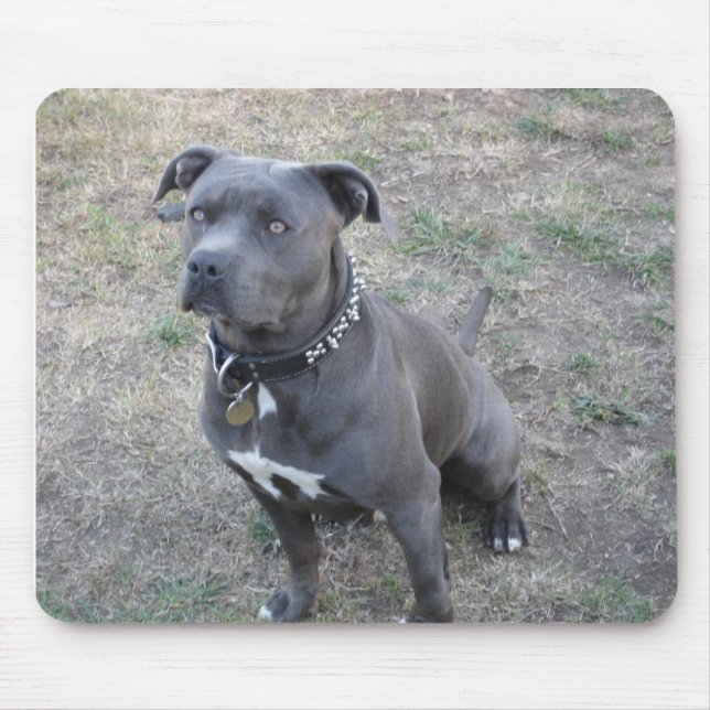 Namnge din Mousepadsarge Musmatta (Framsidan)