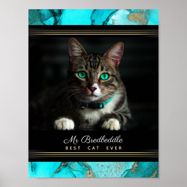 Namngiven Bästa Katt Någonsin Foto Mall Teal Abstr Poster (Framsidan)