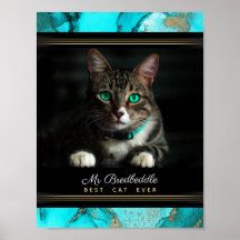 Namnlös Bästa Katt Någonsin Foto Mall Teal Abstrak
