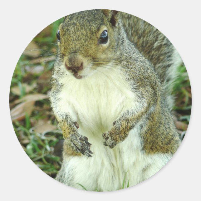 Namnlös etikett (Framsida)