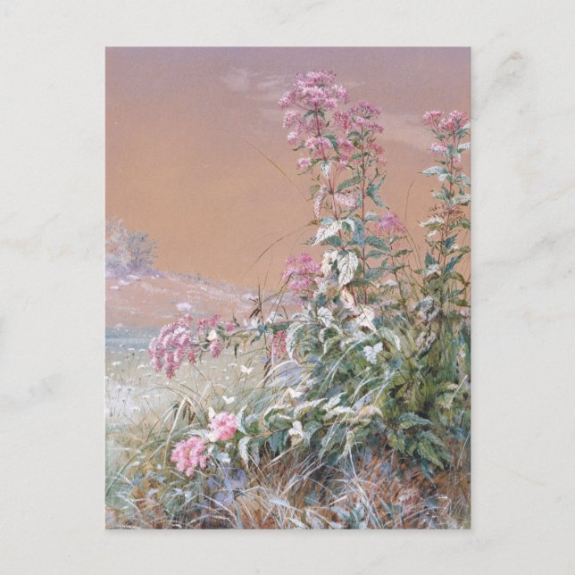 Namnlös | Fidelia Bridges Vykort (Framsida)