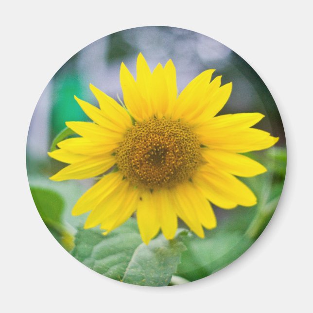 Namnlös magnet (Framsidan)