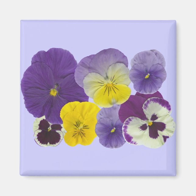 Namnlös magnet (Framsidan)