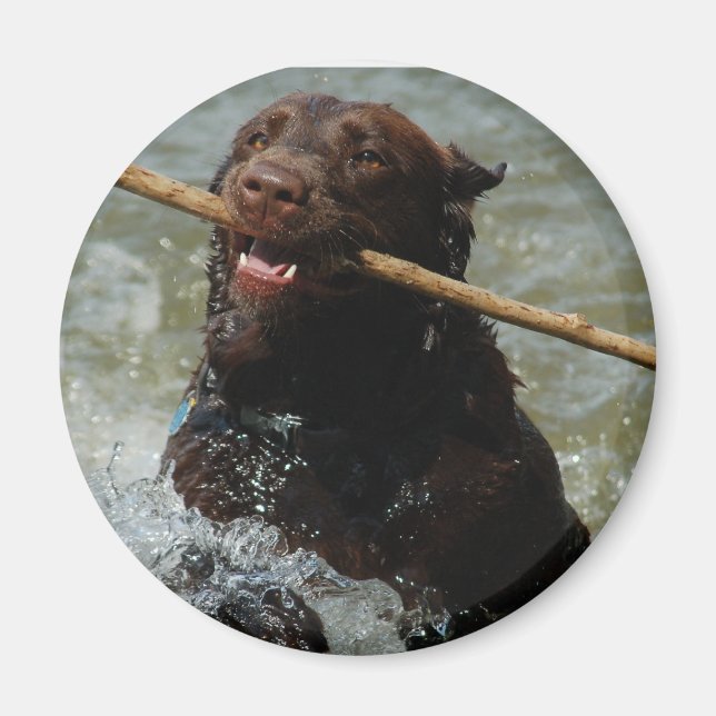 Namnlös magnet (Framsidan)