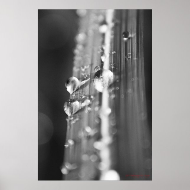 Namnlös Poster (Framsidan)