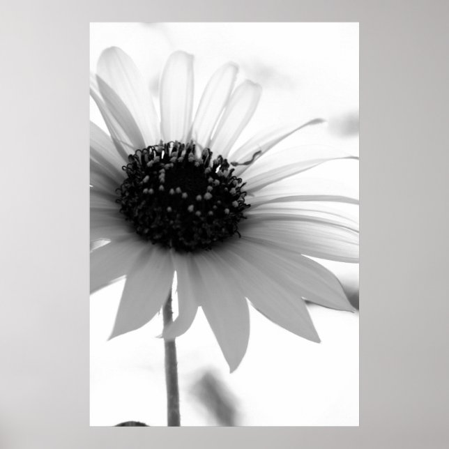 Namnlös Poster (Framsidan)