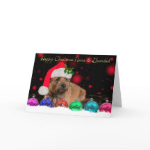 Nana & Grandad Gräns Terrier i Santa Hat