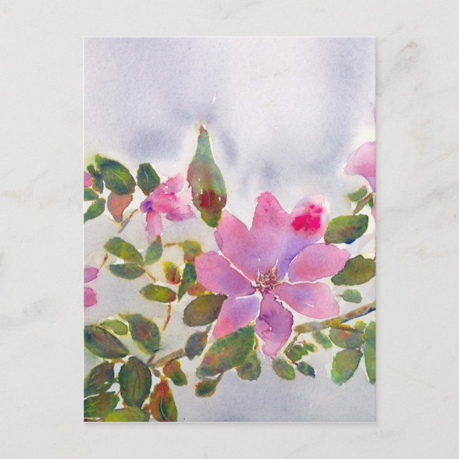 Nanas Ro Vykort (Framsida)