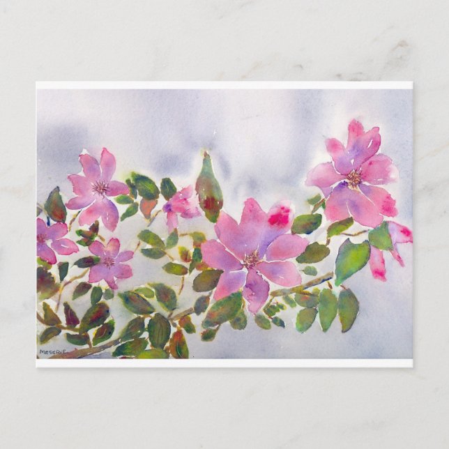 Nanas Ro Vykort (Framsida)