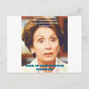 NANCY PELOSI- ONE STUPID PERSON VYKORT