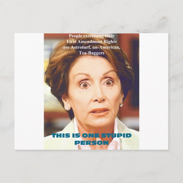NANCY PELOSI- ONE STUPID PERSON VYKORT (Framsida)