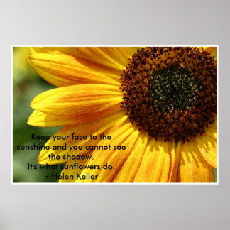 Nancys_solros Poster