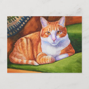 Nancy's Widget Vykort