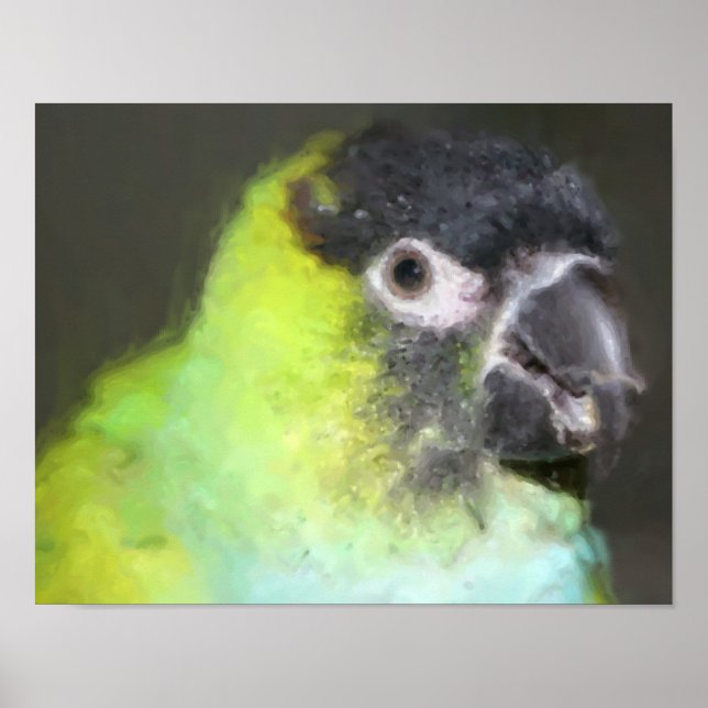 Nanday Conure Parrot Photo Painting Poster (Framsidan)