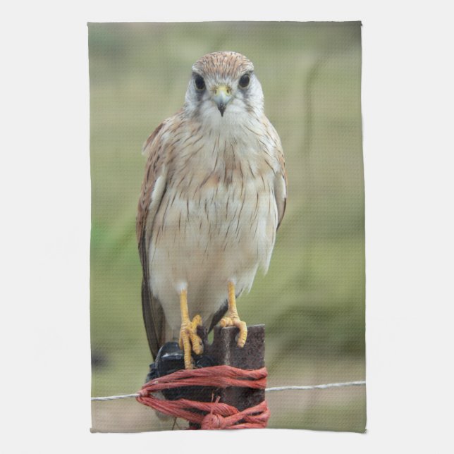 Nankeen Kestrel Kökshandduk (Vertikal)
