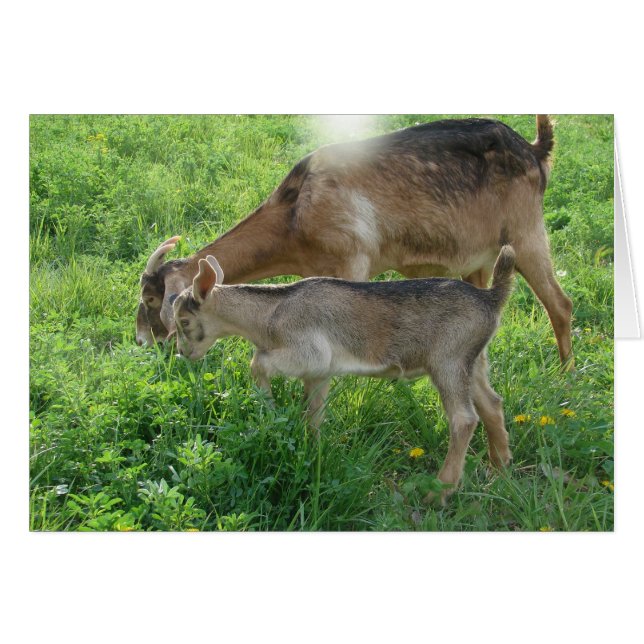 Nanny och Kid Hälsningskort (Framsidan Horizontal)