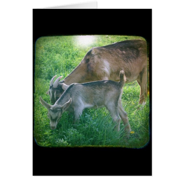 Nanny och KId Hälsningskort (Framsidan)