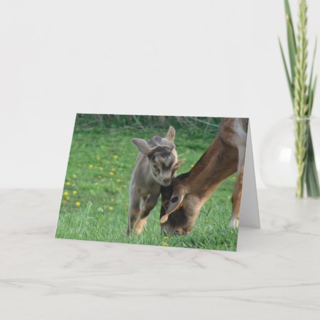 Nanny och Kid Kort (Framsida)