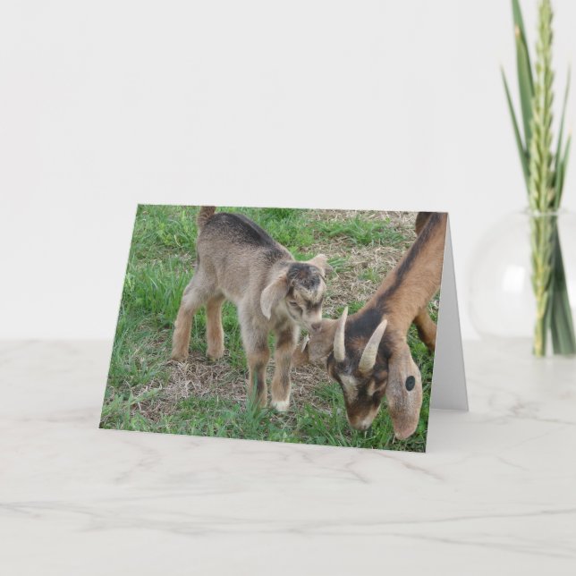 Nanny och Kid Kort (Framsida)