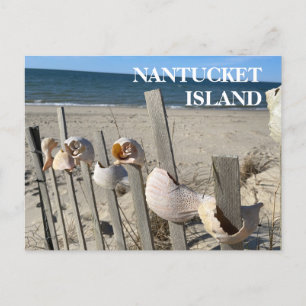 Nantucket Beach-Snäckor på ett stängslet vykort