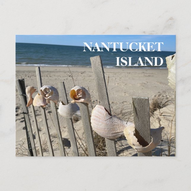 Nantucket Beach-Snäckor på ett stängslet vykort (Framsida)