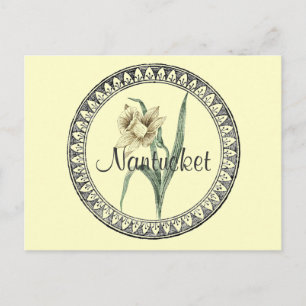 Nantucket Daffodil Parad Vykort