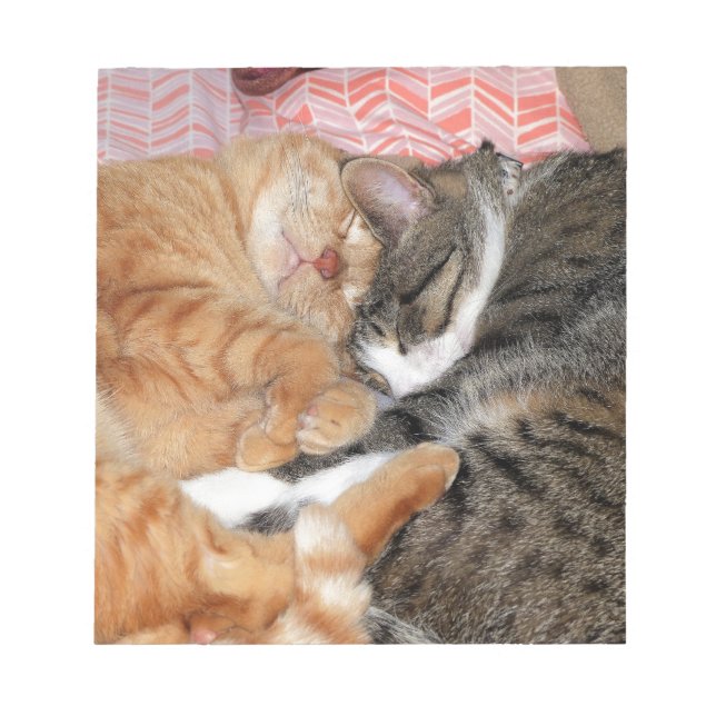 Nap Buddies Anteckningsblock (Framsida)