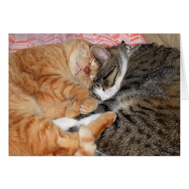 Nap Buddies Hälsningskort (Framsidan Horizontal)