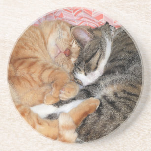 Nap Buddies Underlägg